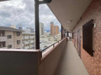 シャンボール第二千舟の画像