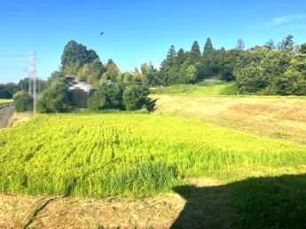 【展望】