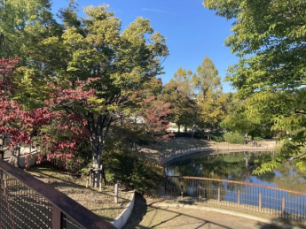 夙川台スカイハイツの画像