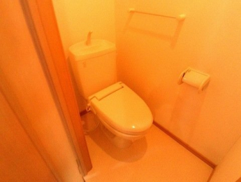 清潔感のあるトイレです