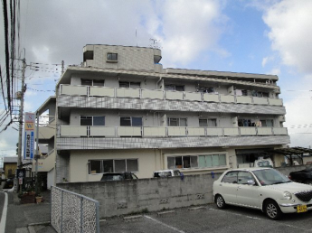 完成写真
