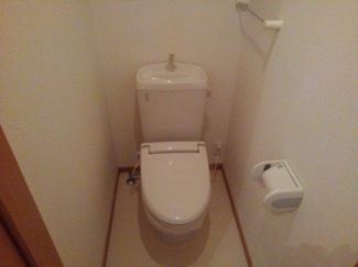 落ち着いた色調のトイレです