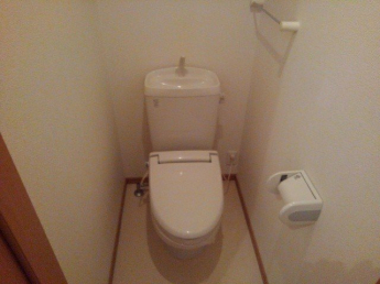 落ち着いた色調のトイレです