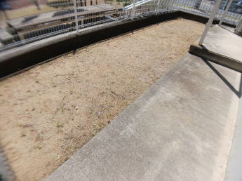 お庭です