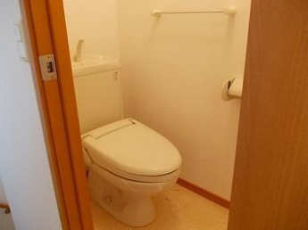 落ち着いた色調のトイレです