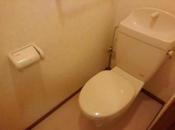 清潔感のあるトイレです