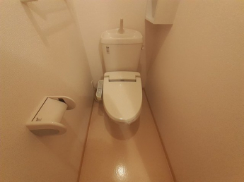 落ち着いた色調のトイレです