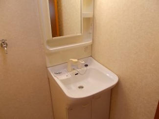 忙しい朝には欠かせない洗面所です