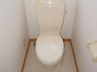 落ち着いた色調のトイレです