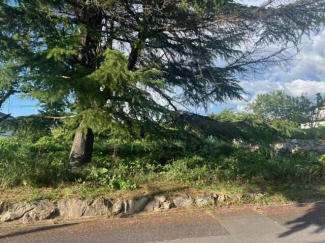 神戸市北区道場町生野の売地の画像