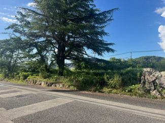 神戸市北区道場町生野の売地の画像