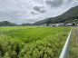 丹波篠山市今田町下立杭　農地1の画像