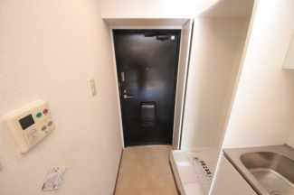 落ち着いた玄関です
