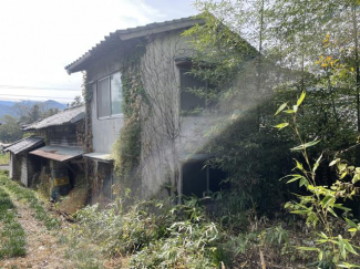 北側から撮影