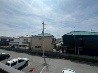 サワーフローラ