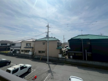 サワーフローラ