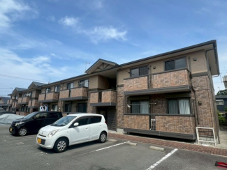 サワーフローラ