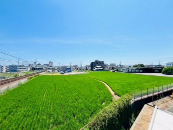 【展望】