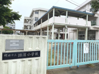 錦浦小学校まで約550ｍ