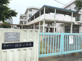 錦浦小学校まで約550ｍ
