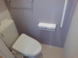 落ち着いた色調のトイレです