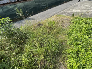 東温市横河原の売地の画像