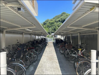 自転車置き場