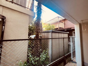 【展望】
