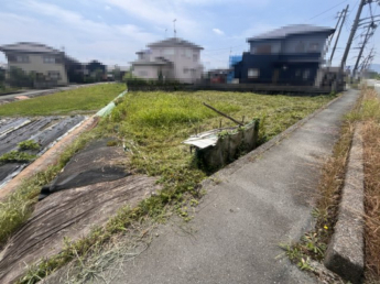 2025年08月　撮影
