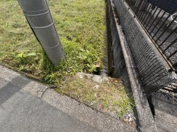 2025年08月　撮影