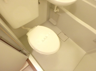落ち着いた色調のトイレです
