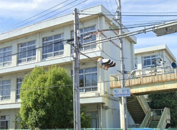 荒川小学校まで320m