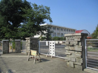 松山市立八坂小学校まで1255m