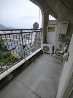 参考写真
