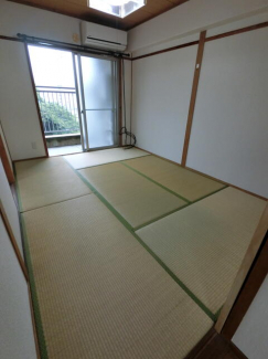 参考写真
