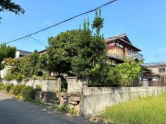 2025年08月　撮影