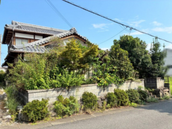 2025年08月　撮影