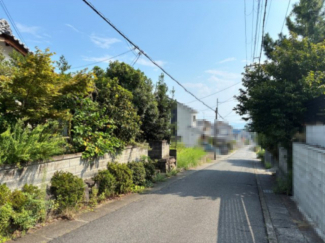 2025年08月　撮影
