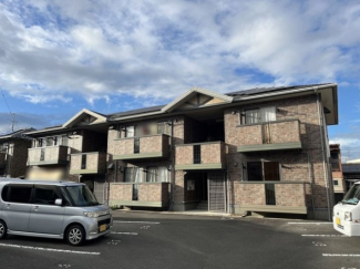 完成写真