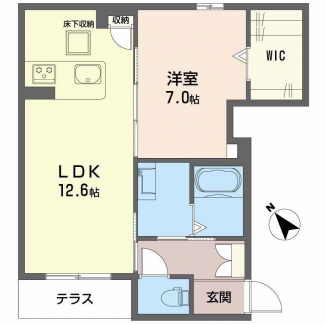 ウォークインクローゼットの有る１LDKです