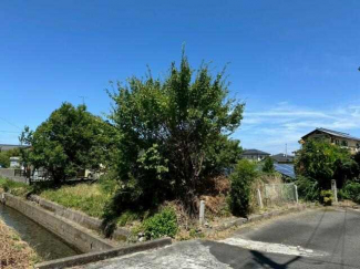 高島市安曇川町青柳の売地の画像