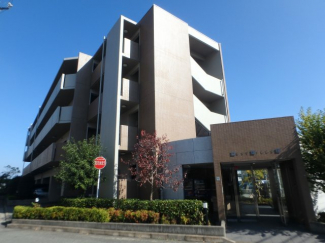 外観も気になるポイント