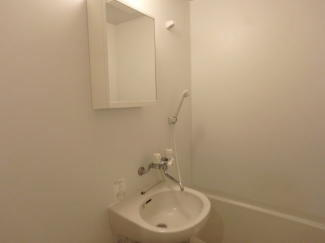 スペースが確保できる洗面所です