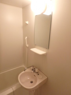 スペースが確保できる洗面所です