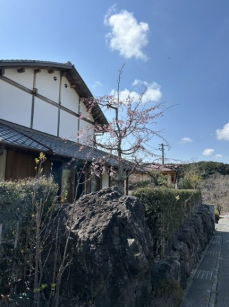 淡路市釜口　高級木造建築売戸建ての画像