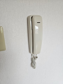 インターホン付きです