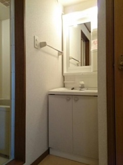 忙しい朝には欠かせない洗面所です