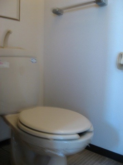 落ち着いた色調のトイレです