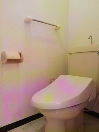 落ち着いた色調のトイレです