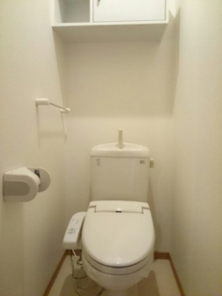 落ち着いた色調のトイレです